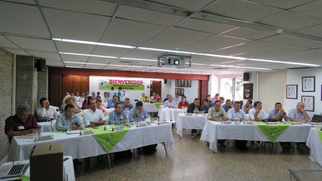 Alcaldes eligen representantes en Cortolima