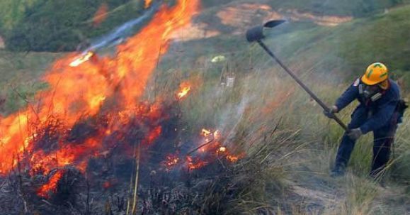 El Tolima en alerta por incendios forestales