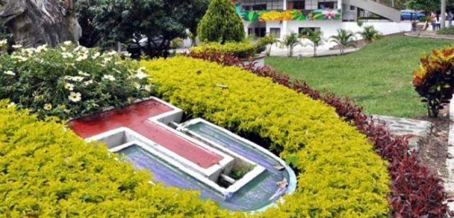 Universidad del Tolima logra cancelar crédito de $10 mil millones
