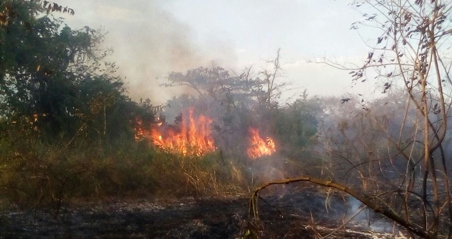 Tres municipios del Tolima afectados por oleada de calor