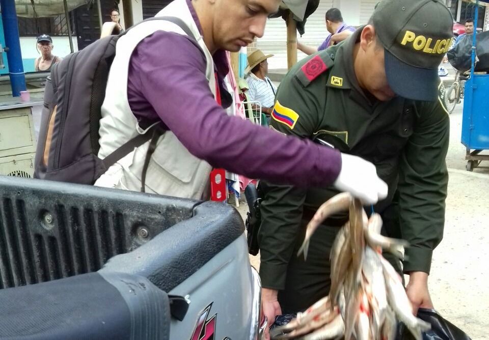 Recomendaciones para comprar pescado en Semana Santa
