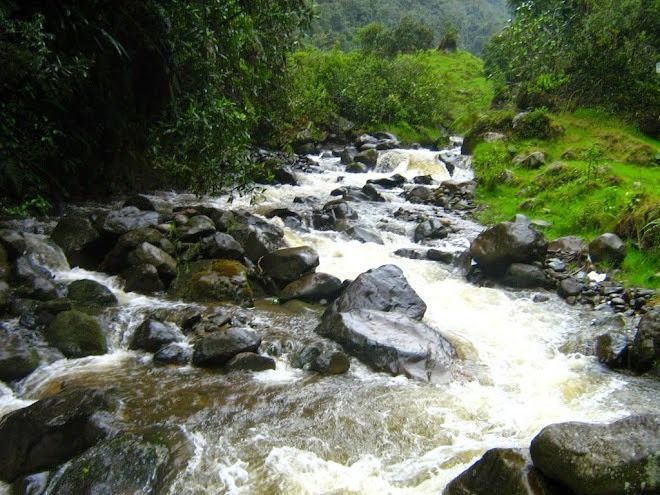 Invierten $680 millones en la restauración ecológica de la cuenca del Combeima