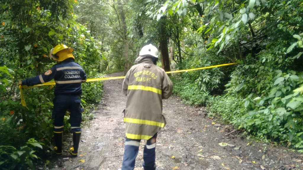 Lluvias ocasionaron emergencias por caídas de árboles y deslizamientos
