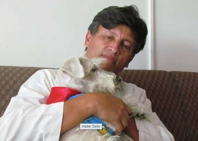 La mala hora del centro veterinario de la 29