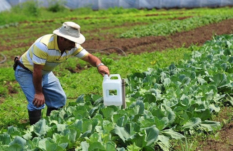 Proyecto Agropolis, recibirá recursos cercanos a los 1.800 Millones del fondo de prosperidad de la Embajada Inglesa