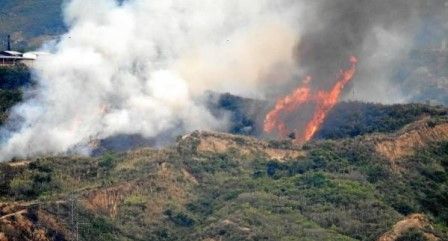 Los Incendios forestales comienzan hacer su aparición en el Tolima