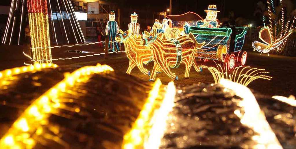 Con novedades celebrará Ibagué la navidad