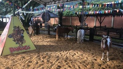 Tercera Feria del equino y Festival de Tiro Pesado Ecuestre