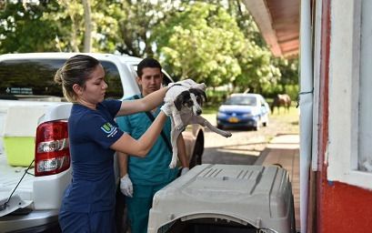 CAPA ha rescatado 351 animales maltratados y abandonados