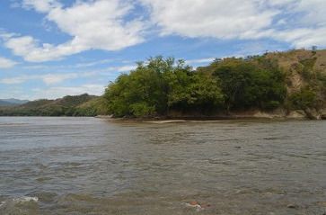 "Bosque Limoneros", otro activo ambiental del Tolima