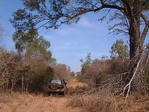 Comunidad Yavi y Pocharco comprometidas con la conservación del bosque seco