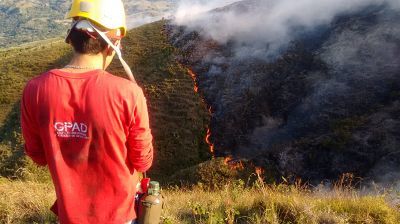 Incendio forestal en zona rural de Ibagué afectó 300 hectáreas en pastos