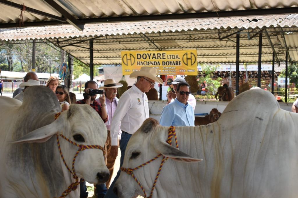 Avanza Tercera Feria Bovina de Ibagué