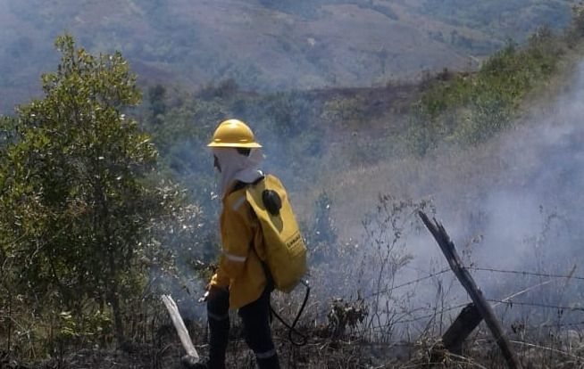 36 incendios forestales se han registrado en el Tolima durante agosto
