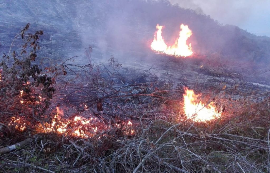 220 incendios forestales en Ibagué