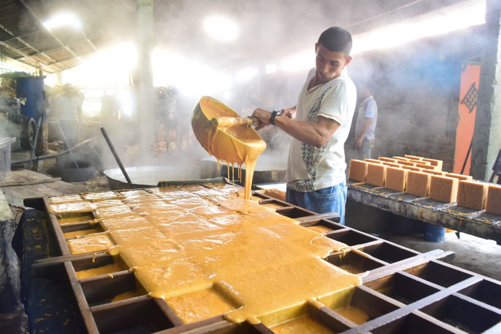 $6.040 millones en créditos agropecuarios entregados a familias campesinas