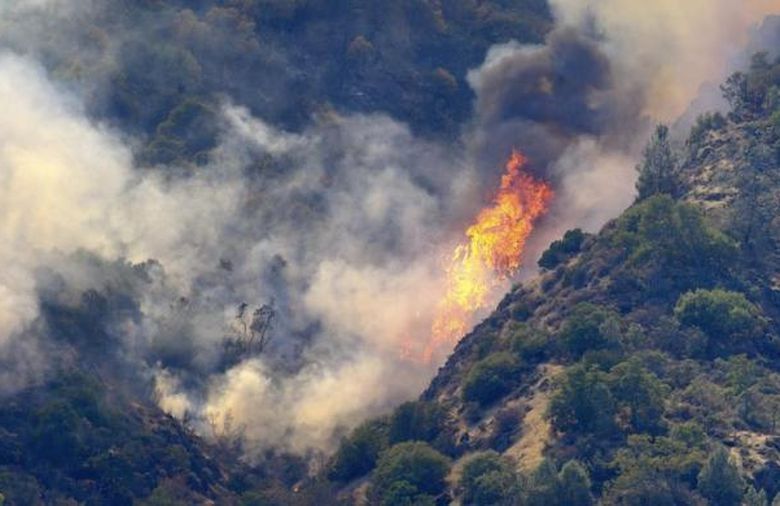 4 mil hectáreas afectadas por incendios forestales en el Tolima