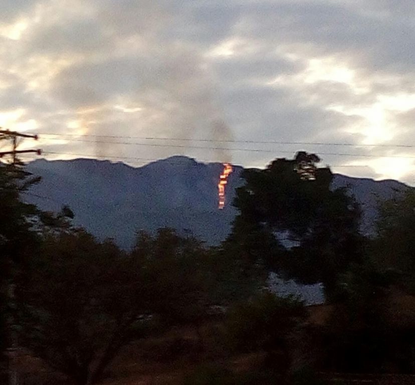 Equipo interinstitucional atiende incendio forestal en Suárez