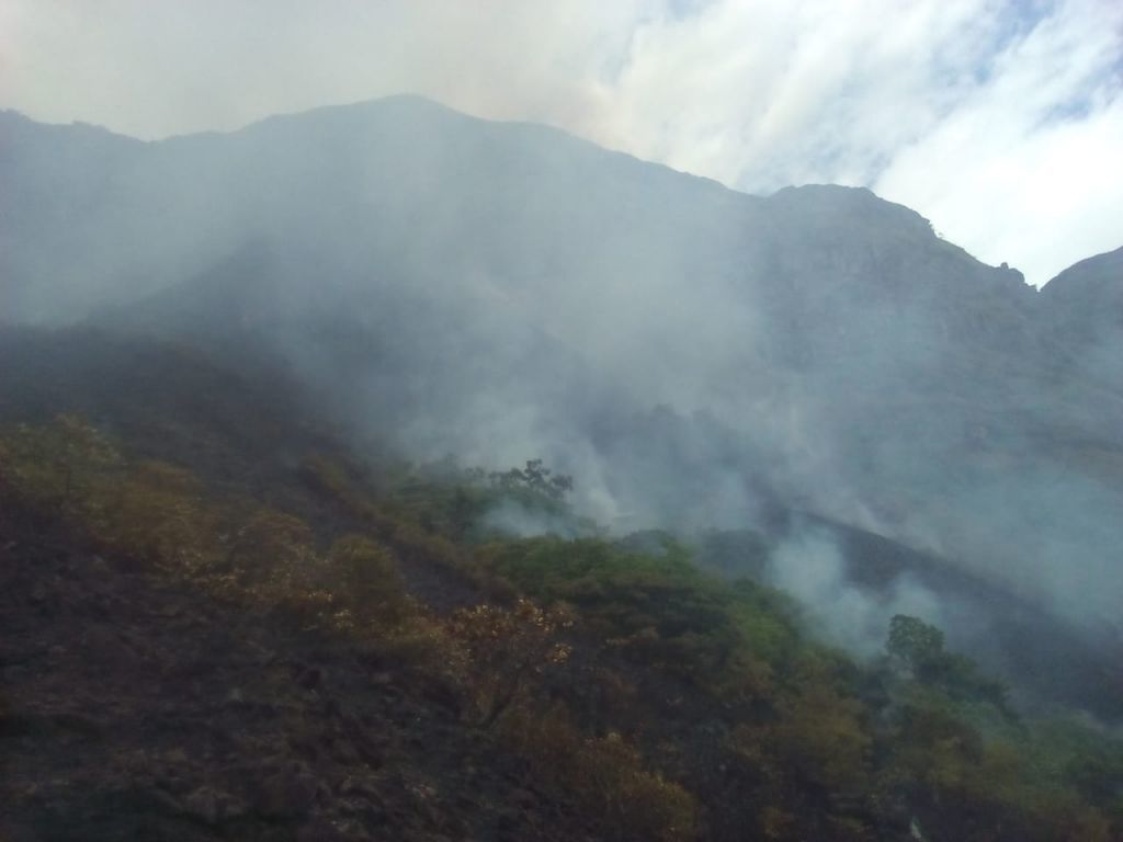 Incendio forestal en Suárez avanza rápidamente hacia Cerro Perico