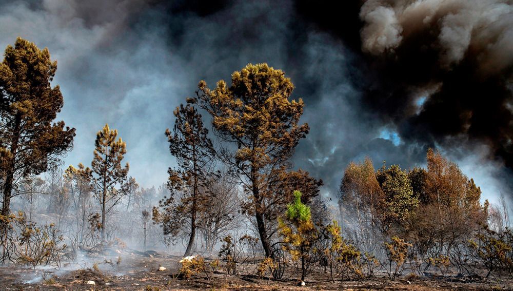 Emergencias por incendios forestales y lluvias.
