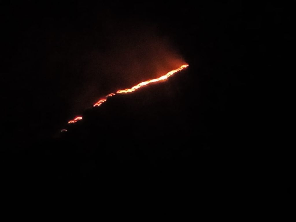Se reactivó incendio forestal en Suárez aún se desconoce el número de hectáreas afectadas