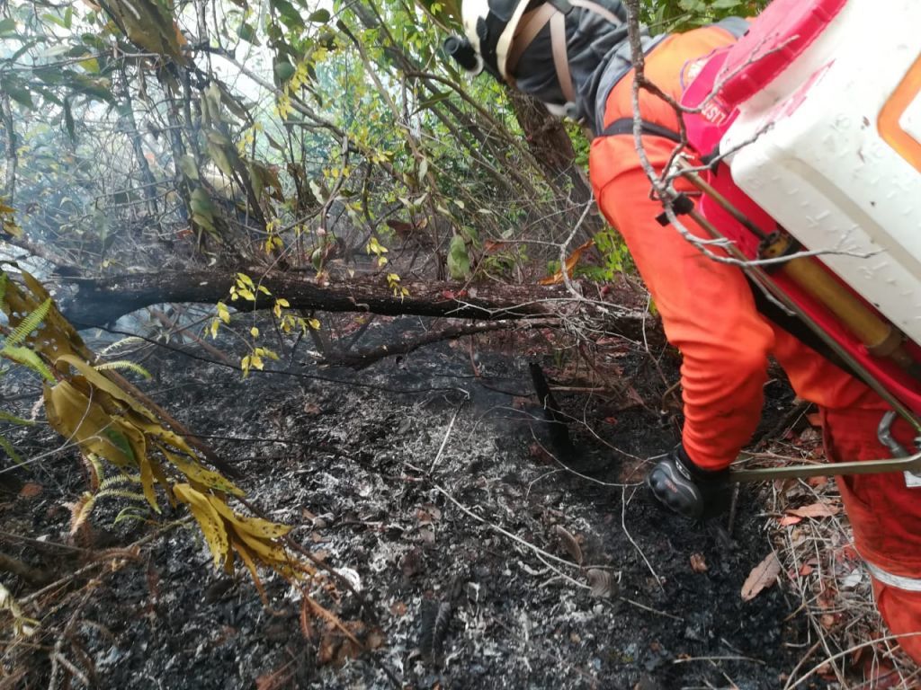En un 40 por ciento ha sido controlado el incendio forestal en el cerro de Pacandé en Natagaima