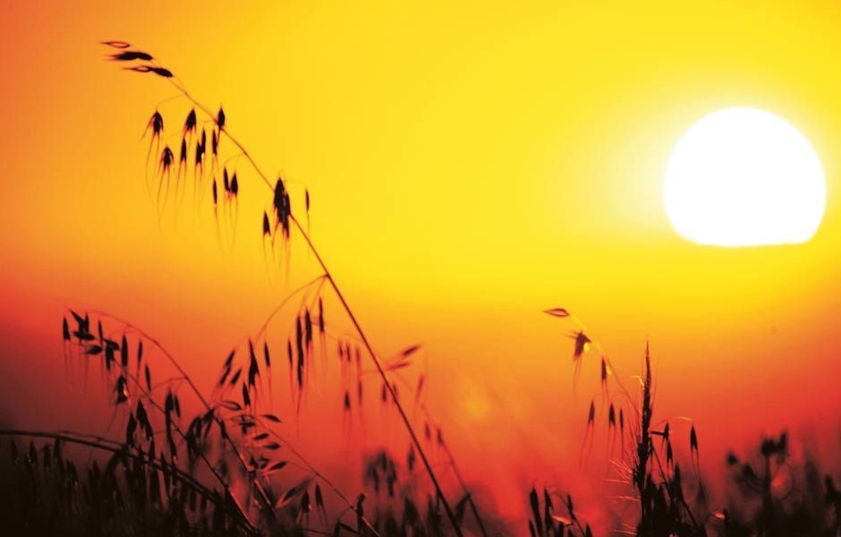 Las altas temperaturas harán presencia en el Tolima hasta marzo del otro año