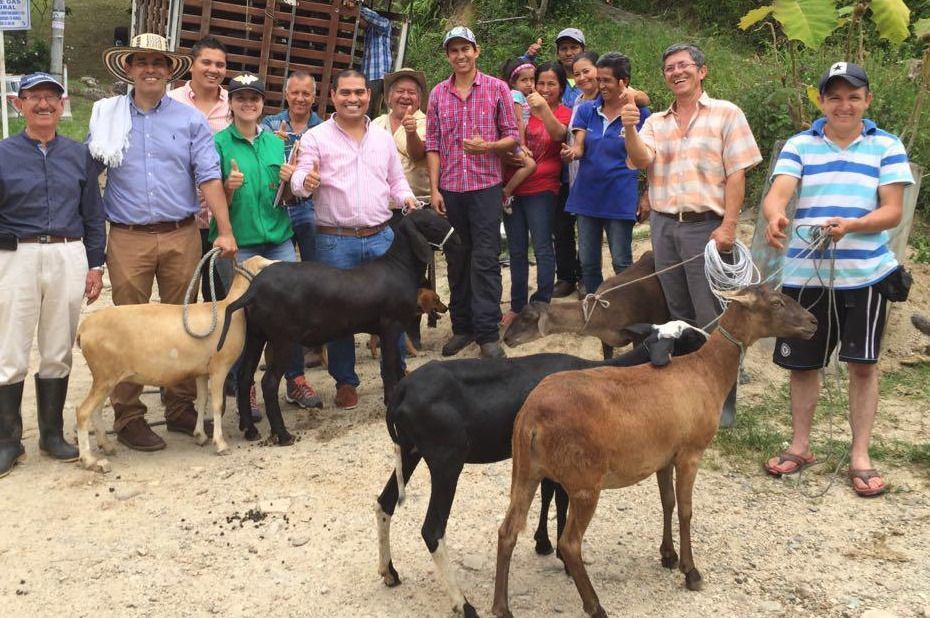 240 familias campesinas de Ibagué beneficiadas por el programa de ganadería sostenible.