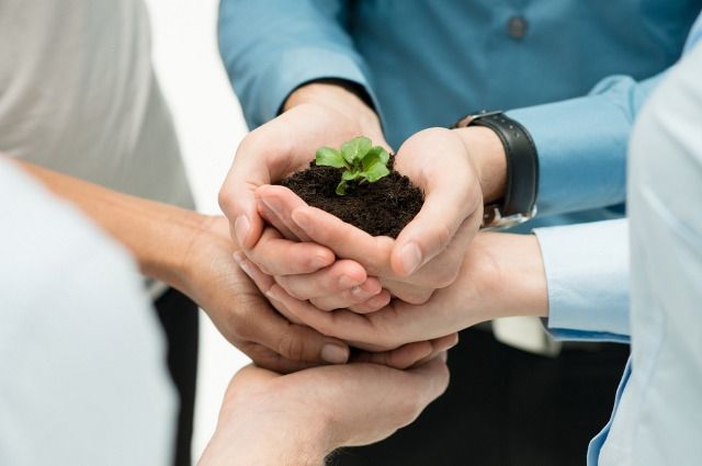 Si tiene una microempresa amigable con el medio ambiente, esta información le interesa