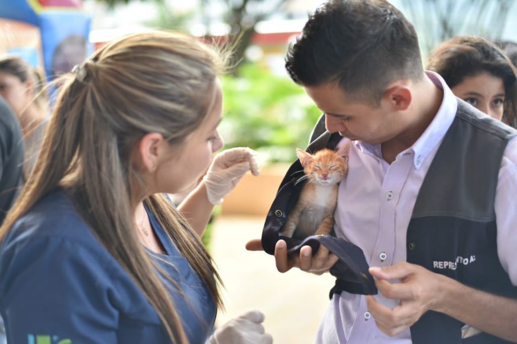 Este sábado vacunación de mascotas en Ibagué