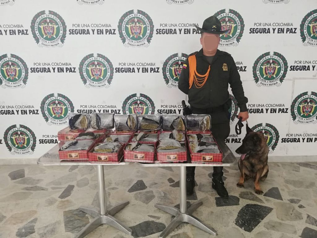 Policía incautó cargamento de marihuana que venía en un vuelo de Avianca y procedente de Bogotá