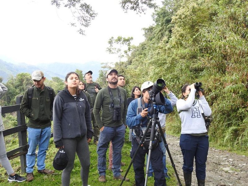 El Tolima demostró por qué es potencia en aviturismo