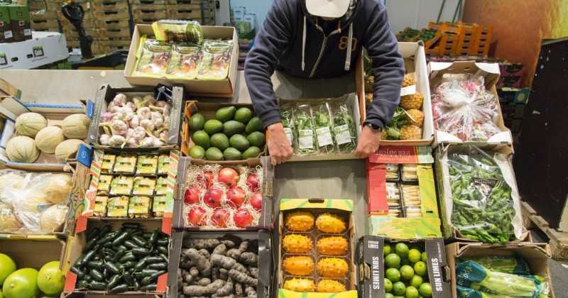 La seguridad alimentaria y el hambre
