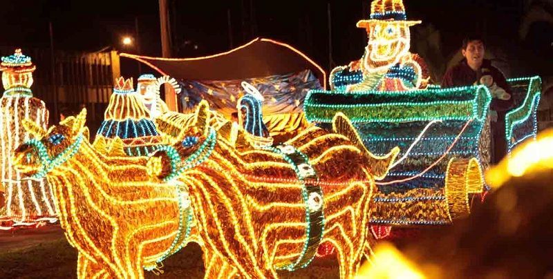 Infibagué adjudicó licitación para el Alumbrado Navideño 2018