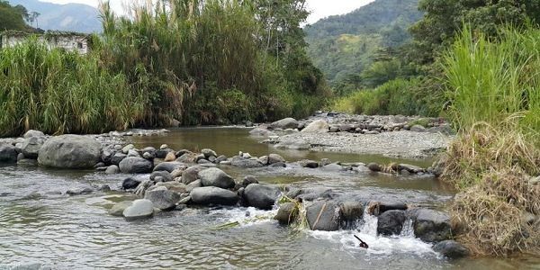 Balance del proyecto integral cuenca del Combeima realizaron Cortolima e IBAL