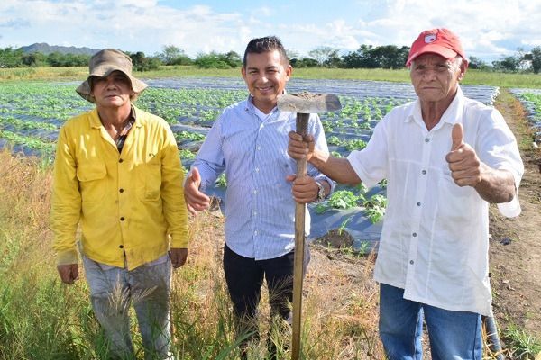 Cerca de 3 hectáreas de frutas y hortalizas se cultivan en asentamiento La Miel
