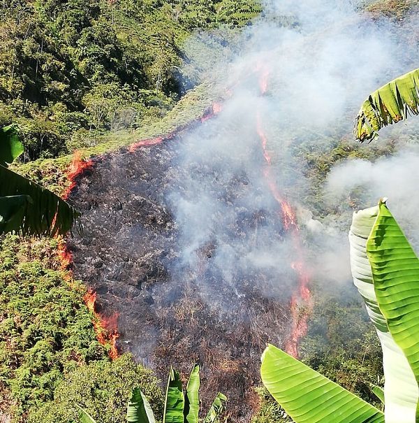Sin control incendio forestal que consume zona de páramo en Anzoátegui (Tolima)