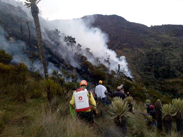 Extinguido incendio forestal en Palomar, cien hectáreas resultaron afectadas