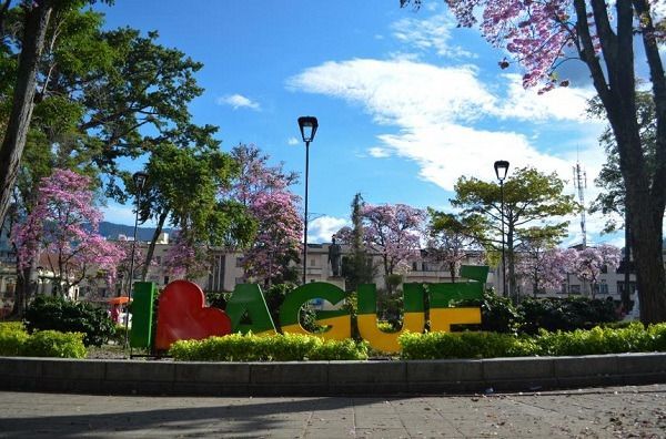 A partir del 15 de enero comenzará facturación y pago del predial en Ibagué