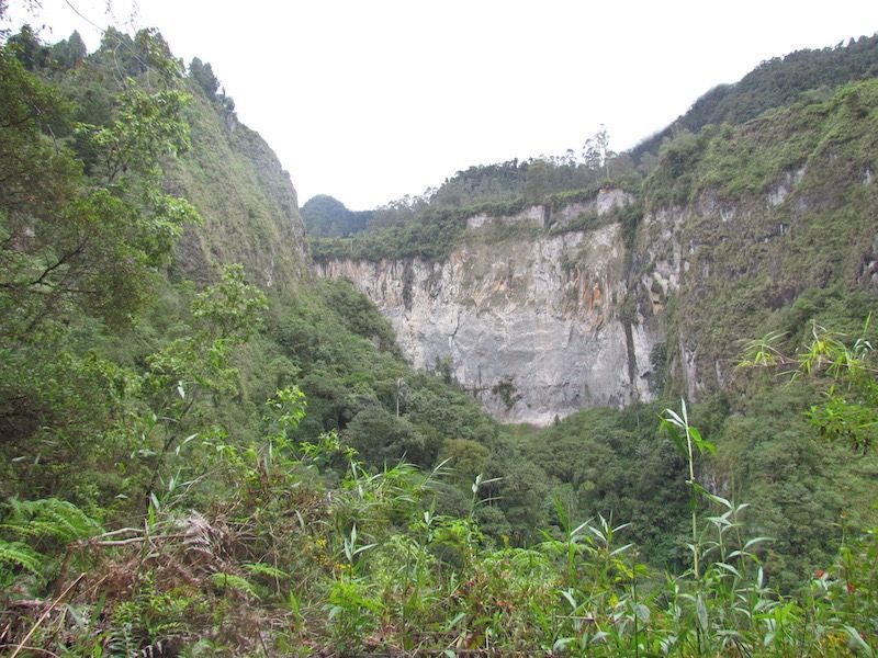 La reserva forestal Alto del Combeima debemos preservarla entre todos