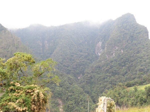 La Reserva Forestal Protectora Regional "Alto Combeima", nos pertenece a todos