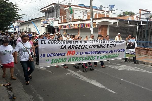 El 31 de enero se reanuda en Ibagué audiencia sobre el proyecto Hidrototare