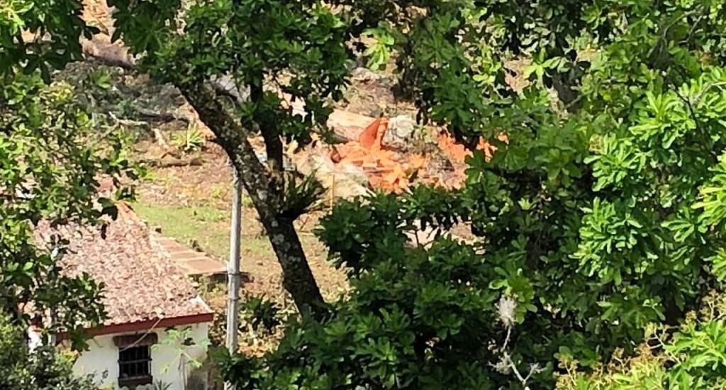 ¿Continua masacre ambiental por parte de constructora en Ibagué?