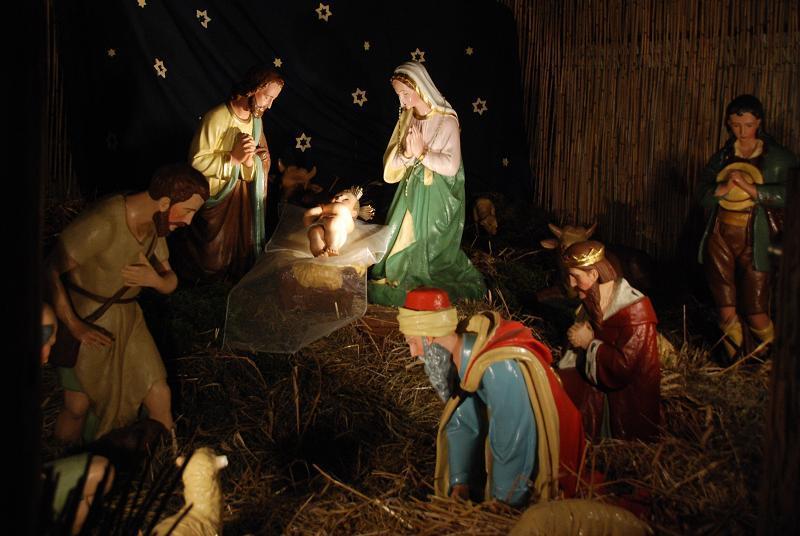 La Navidad no solo tiene cosas curiosas sino micológicas