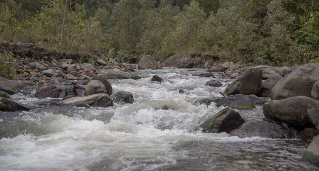Alerta máxima tras posibles crecientes súbitas en ríos del Tolima