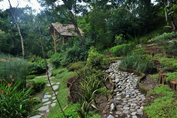 No hay claridad en compra del Jardín Botánico San Jorge