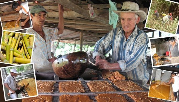 Banco Agrario prorrogará créditos a paneleros