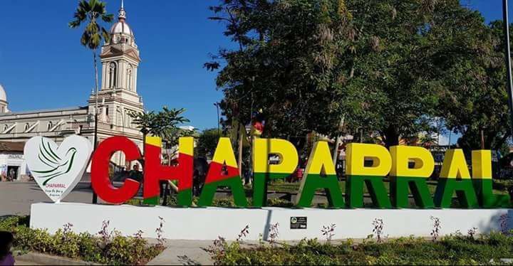 Unibagué, respira región