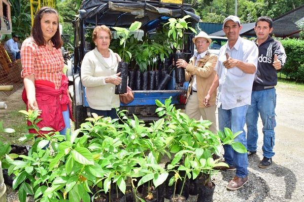8.500 árboles frutales serán entregados a familias campesinas