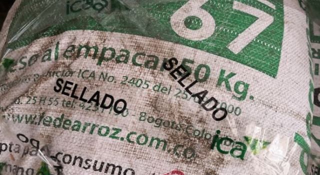 Autoridades incautaron cerca de 105 toneladas de semillas de arroz ilegal en el Tolima